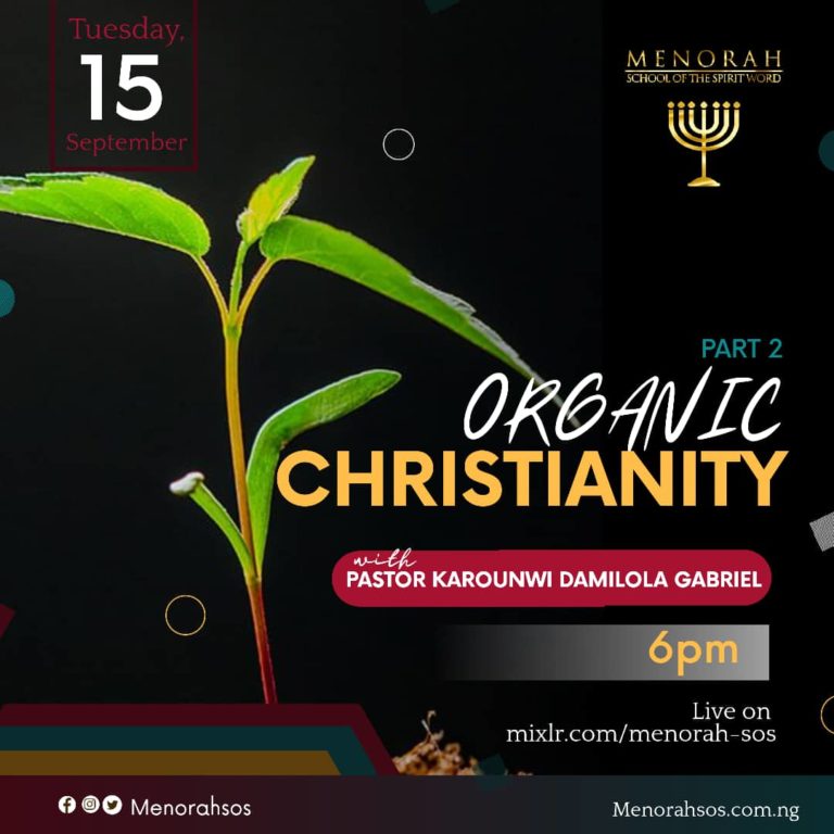 Read more about the article Organic Christianity (Part Two)