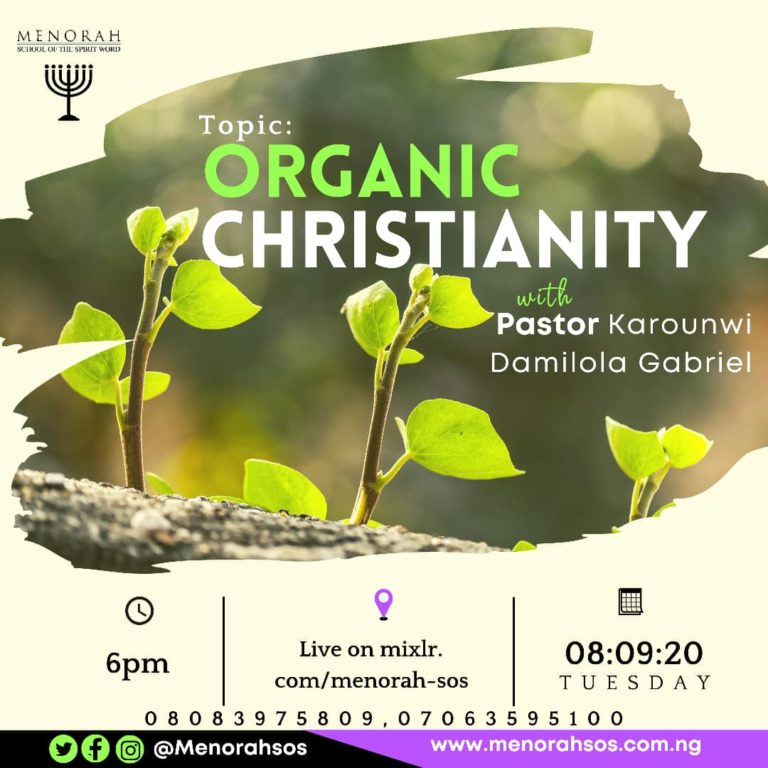 Read more about the article Organic Christianity