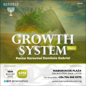 Read more about the article Growth System (Part 6)