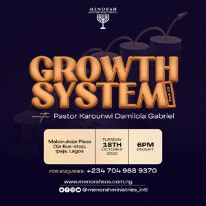Read more about the article Growth System (Part 18)